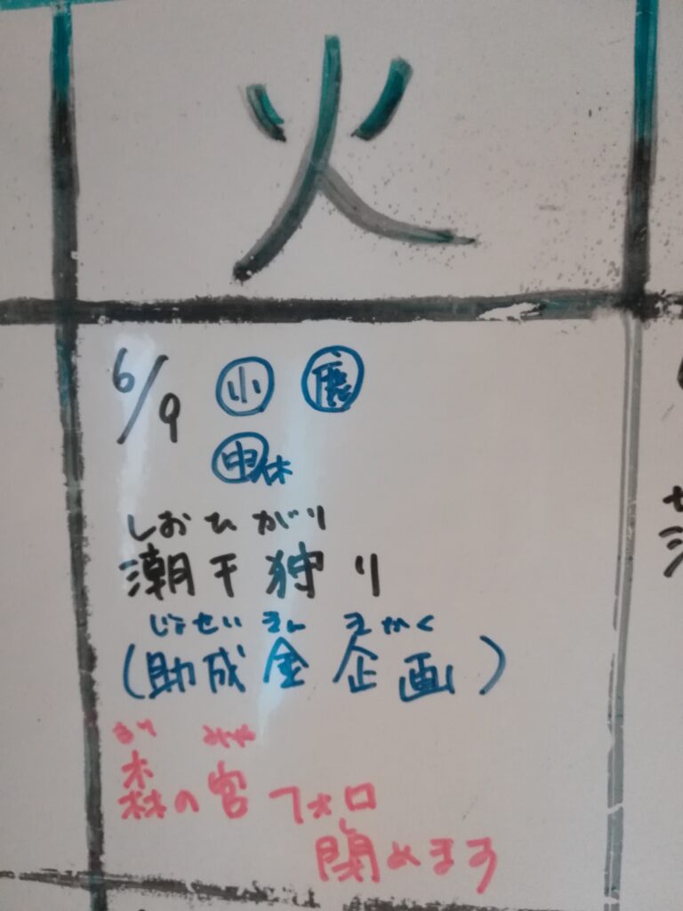 来週火曜日は潮干狩り！