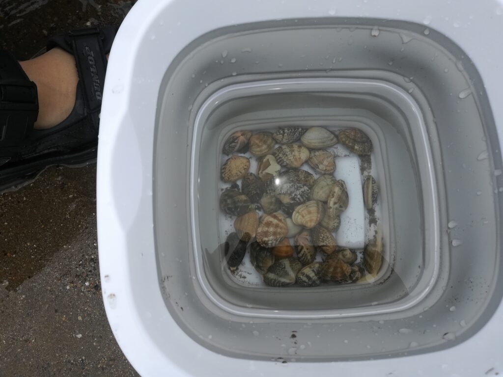潮干狩り！